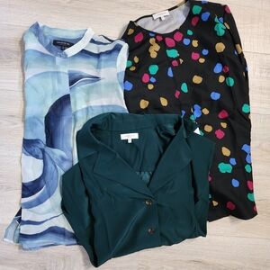 Lafayette 148 New York Blouses (3)